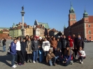 COMENIUS IX.2013_43