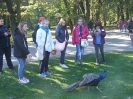 COMENIUS IX.2013_48