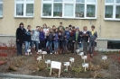  COMENIUS KWIECIEŃ_8