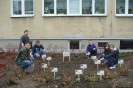  COMENIUS KWIECIEŃ_9