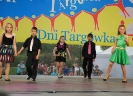 ARTYSTYCZNY TARGÓWEK_19
