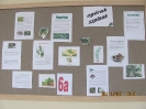 DZIEŃ DOBREGO JEDZENIA_13