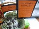ŚWIĘTO SZKOŁY_62