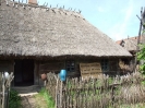 W KULIGOWIE_42
