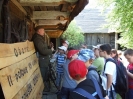 W KULIGOWIE_6