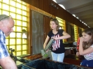 4a i 5a  w Muzeum Papiernictwa_22