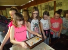 4a i 5a  w Muzeum Papiernictwa_6