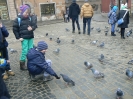 Zima w mieście 2015_15