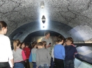 Zima w mieście 2015_1