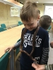 2d w ZOO_1