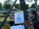 Dogoterapia w 2a_13
