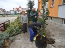 SADZENIE DĘBÓW W SP84