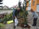 SADZENIE DEBÓW_5