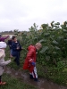 3b i 3d na wykopkach_36