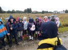 3b i 3d na wykopkach_3