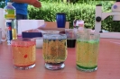 PIKNIK RODZINNY_71
