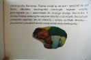bajka_5